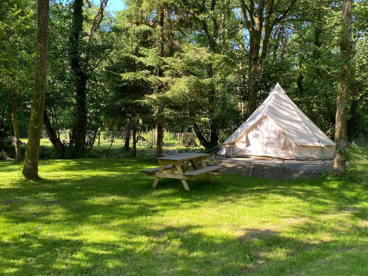 River View Glamping Hotel Llandovery Eksteriør billede