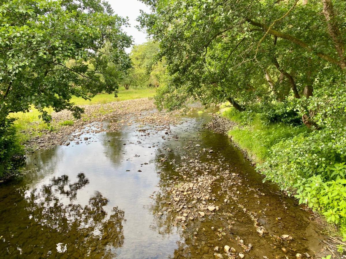 River View Glamping Hotel Llandovery Eksteriør billede