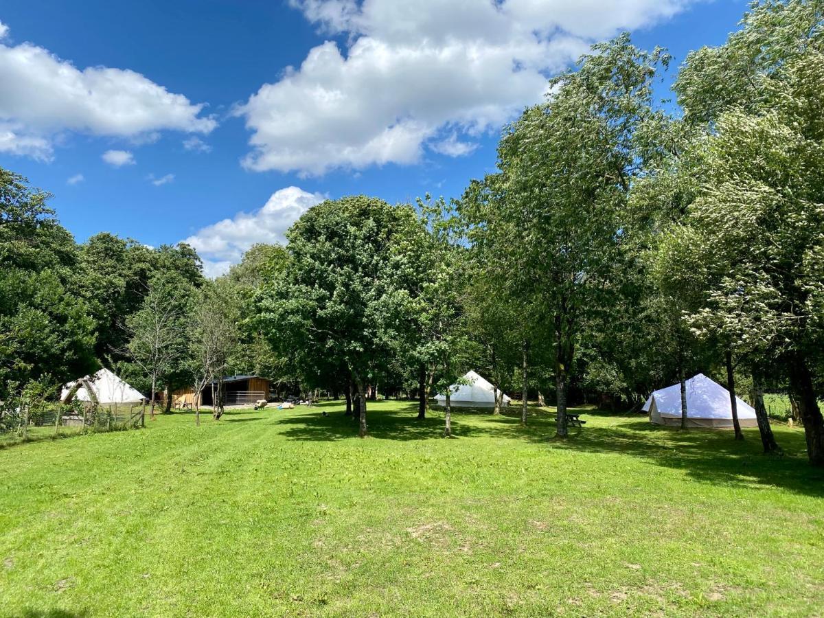 River View Glamping Hotel Llandovery Eksteriør billede